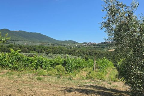 Villa i Montecchio, Terni, Montecchio - € 1.200.000 | Ref: MON030-1-1-1 - foto 42