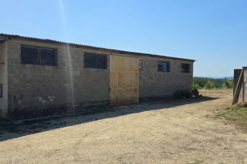 Villa i Montecchio, Terni, Montecchio - € 1.200.000 | Ref: MON030-1-1-1 - foto 43
