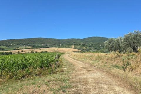 Villa i Montecchio, Terni, Montecchio - € 1.200.000 | Ref: MON030-1-1-1 - foto 44