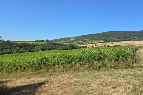 Villa i Montecchio, Terni, Montecchio - € 1.200.000 | Ref: MON030-1-1-1 - foto 45