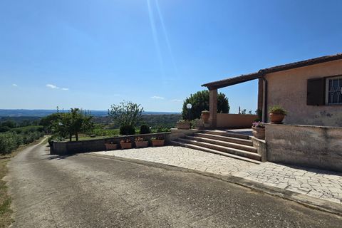 Villa i Montecchio, Terni, Montecchio - € 1.200.000 | Ref: MON030-1-1-1 - foto 46