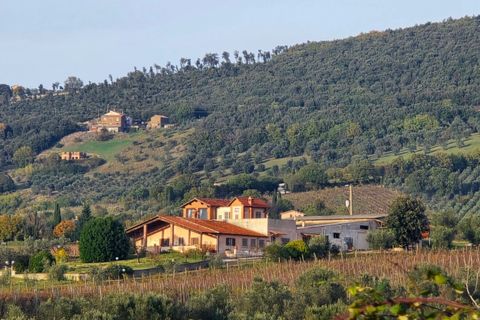 Villa i Montecchio, Terni, Montecchio - € 1.200.000 | Ref: MON030-1-1-1 - foto 50