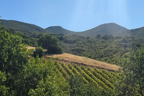 Villa a Montecchio, Terni, Montecchio - € 1.390.000 | Ref: MON20-1-1-1 - foto 31