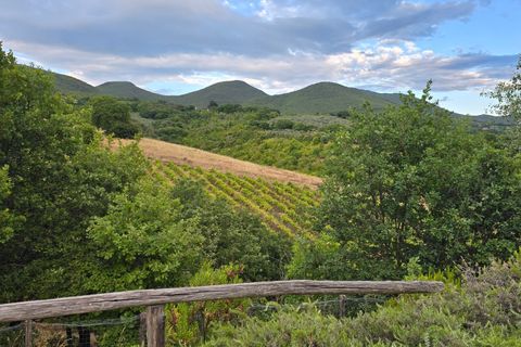 Villa a Montecchio, Terni, Montecchio - € 1.390.000 | Ref: MON20-1-1-1 - foto 37