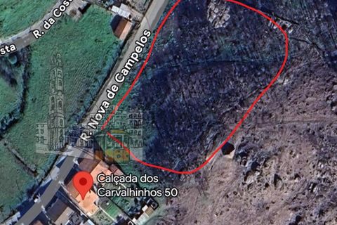 Helårsgrund i Penafiel, Porto, Penafiel - € 256.000 | Ref: PC_11997 - foto 4