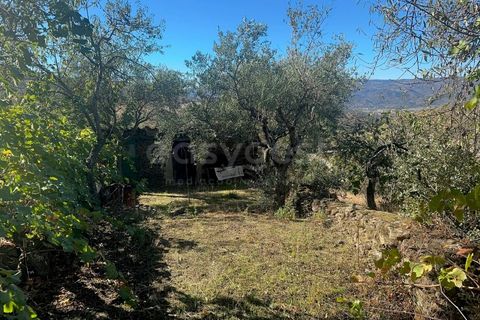 Landejendom i Torre de Moncorvo, Braganca, Torre de Moncorvo - € 28.500 | Ref: BG98199TM - foto 3