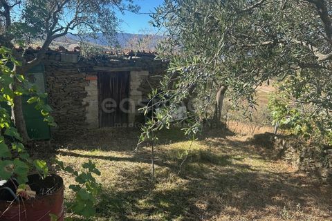 Landejendom i Torre de Moncorvo, Braganca, Torre de Moncorvo - € 28.500 | Ref: BG98199TM - foto 4