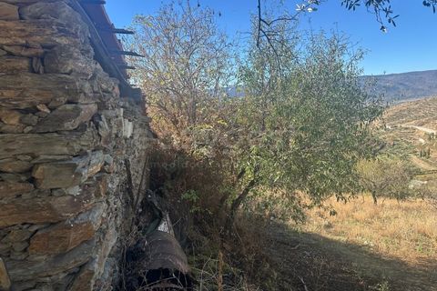 Landejendom i Torre de Moncorvo, Braganca, Torre de Moncorvo - € 28.500 | Ref: BG98199TM - foto 5