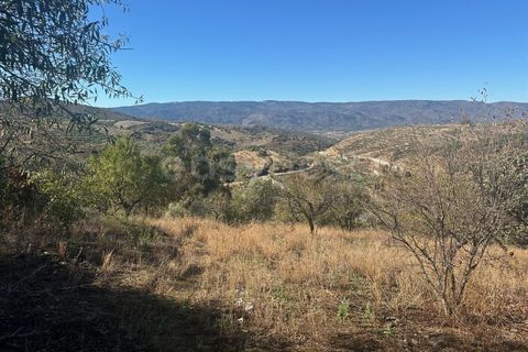 Landejendom i Torre de Moncorvo, Braganca, Torre de Moncorvo - € 28.500 | Ref: BG98199TM - foto 6