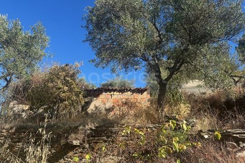 Landejendom i Torre de Moncorvo, Braganca, Torre de Moncorvo - € 28.500 | Ref: BG98199TM - foto 7