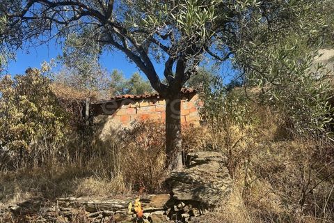 Landejendom i Torre de Moncorvo, Braganca, Torre de Moncorvo - € 28.500 | Ref: BG98199TM - foto 8
