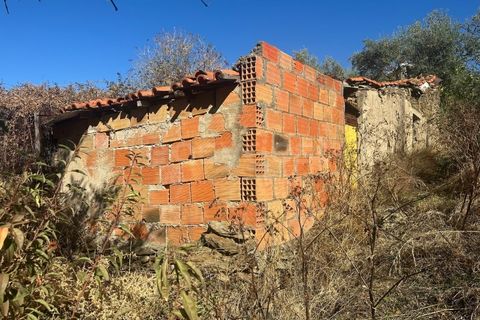 Landejendom i Torre de Moncorvo, Braganca, Torre de Moncorvo - € 28.500 | Ref: BG98199TM - foto 9