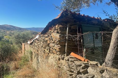 Landejendom i Torre de Moncorvo, Braganca, Torre de Moncorvo - € 28.500 | Ref: BG98199TM - foto 10
