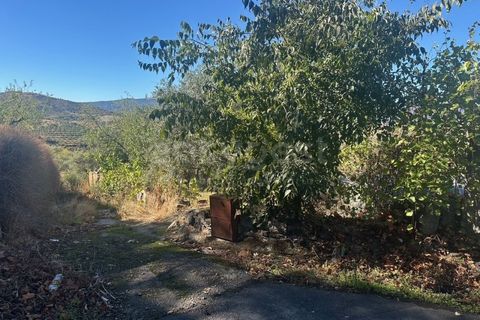Landejendom i Torre de Moncorvo, Braganca, Torre de Moncorvo - € 28.500 | Ref: BG98199TM - foto 11