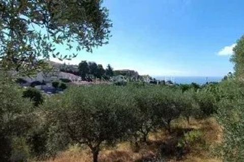 Terreno en Nice, Alpes-Maritimes, Nice - € 395.000 | Ref: 86402301 - photo 2