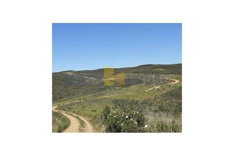 Landejendom i Bensafrim, Faro, Bensafrim - € 6.900.000 | Ref: FHCL5004 - foto 9