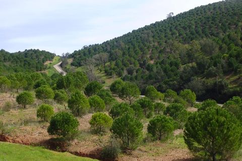 Helårsgrund i Silves, Faro, Silves - € 260.000 | Ref: AGMTR-023 - foto 1