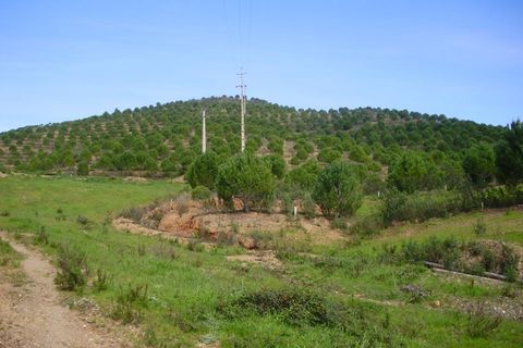 Helårsgrund i Silves, Faro, Silves - € 260.000 | Ref: AGMTR-023 - foto 6