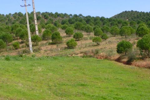 Helårsgrund i Silves, Faro, Silves - € 260.000 | Ref: AGMTR-023 - foto 7