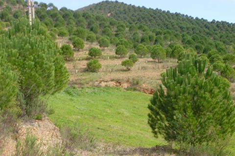 Helårsgrund i Silves, Faro, Silves - € 260.000 | Ref: AGMTR-023 - foto 8