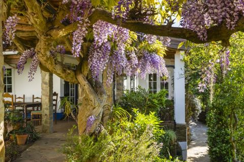 Farm i Odemira, Beja, Odemira - € 2.950.000 | Ref: AGMQUI-3037 - foto 21