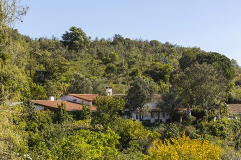 Farm i Odemira, Beja, Odemira - € 2.950.000 | Ref: AGMQUI-3037 - foto 45