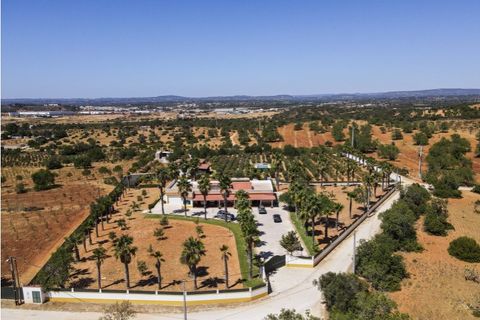 Farm i Guia, Faro, Guia - € 1.200.000 | Ref: AGMQUI-2705 - foto 4