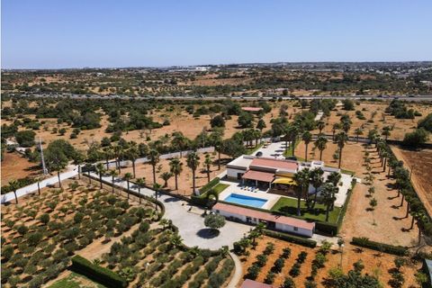 Farm i Guia, Faro, Guia - € 1.200.000 | Ref: AGMQUI-2705 - foto 2