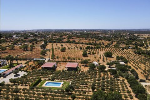 Farm i Guia, Faro, Guia - € 1.200.000 | Ref: AGMQUI-2705 - foto 7