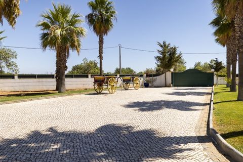 Farm i Guia, Faro, Guia - € 1.200.000 | Ref: AGMQUI-2705 - foto 11