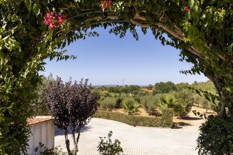 Farm i Guia, Faro, Guia - € 1.200.000 | Ref: AGMQUI-2705 - foto 20