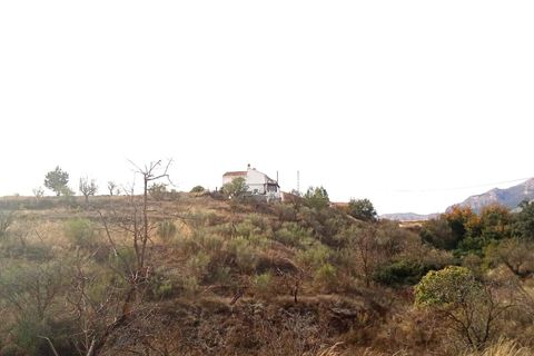 Cortijo i Chirivel, Almeria, Chirivel - € 395.000 | Ref: E286 - foto 4