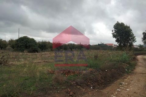 Villa i Bombarral, Leiria, Bombarral - € 550.000 | Ref: 130250261 - foto 10