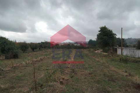Villa i Bombarral, Leiria, Bombarral - € 550.000 | Ref: 130250261 - foto 12