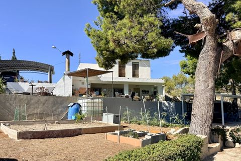 Villa i Elche, Alicante, Elche - € 299.950 | Ref: HVH-31893 - foto 17