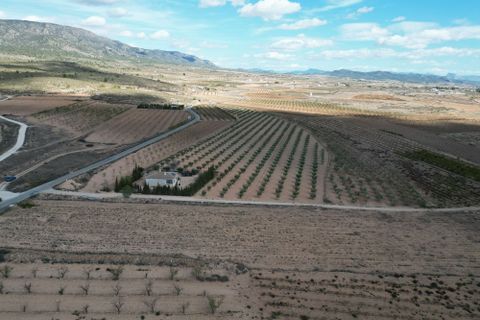 Terra a Lel, Alicante, Lel - € 49.950 | Ref: IZIZ-540-EXIZ - foto 2