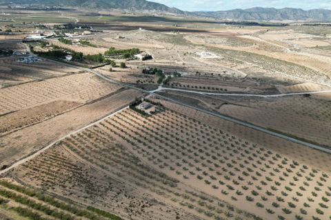 Terra a Lel, Alicante, Lel - € 49.950 | Ref: IZIZ-540-EXIZ - foto 9