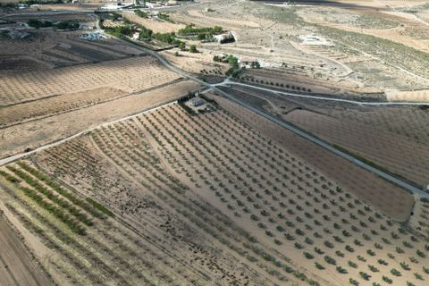 Terra a Lel, Alicante, Lel - € 49.950 | Ref: IZIZ-540-EXIZ - foto 10