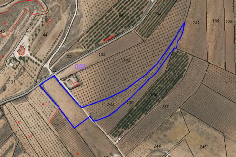 Terra a Lel, Alicante, Lel - € 49.950 | Ref: IZIZ-540-EXIZ - foto 16