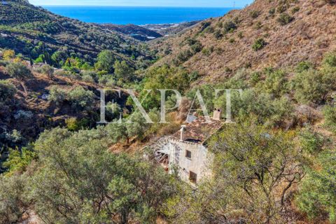 Landejendom i Sayalonga, Malaga, Sayalonga - € 235.000 | Ref: 0455 - foto 1