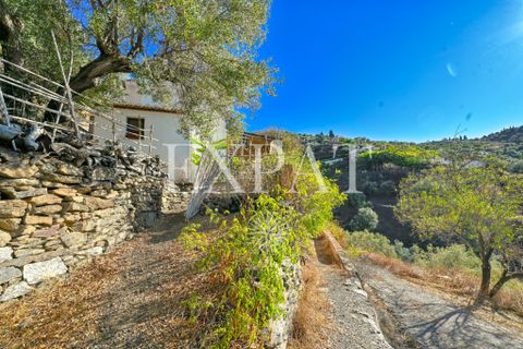 Landejendom i Sayalonga, Malaga, Sayalonga - € 235.000 | Ref: 0455 - foto 3