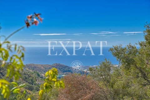 Landejendom i Sayalonga, Malaga, Sayalonga - € 235.000 | Ref: 0455 - foto 2