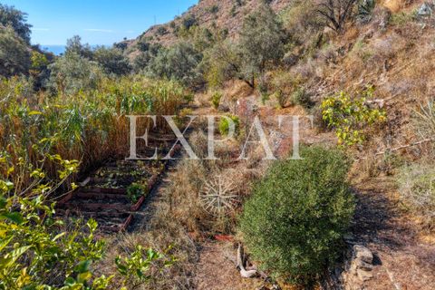 Landejendom i Sayalonga, Malaga, Sayalonga - € 235.000 | Ref: 0455 - foto 7