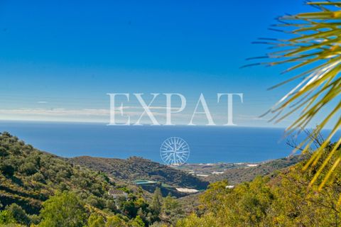 Landejendom i Sayalonga, Malaga, Sayalonga - € 235.000 | Ref: 0455 - foto 28