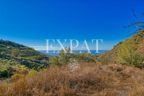 Landejendom i Sayalonga, Malaga, Sayalonga - € 235.000 | Ref: 0455 - foto 34