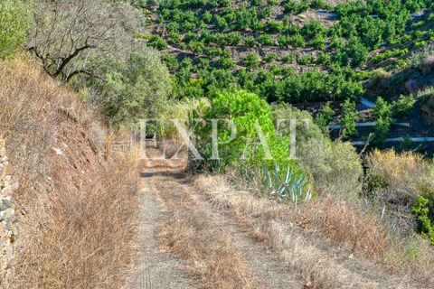 Landejendom i Sayalonga, Malaga, Sayalonga - € 235.000 | Ref: 0455 - foto 35
