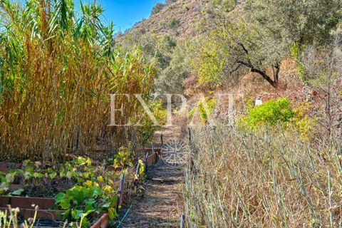 Landejendom i Sayalonga, Malaga, Sayalonga - € 235.000 | Ref: 0455 - foto 38