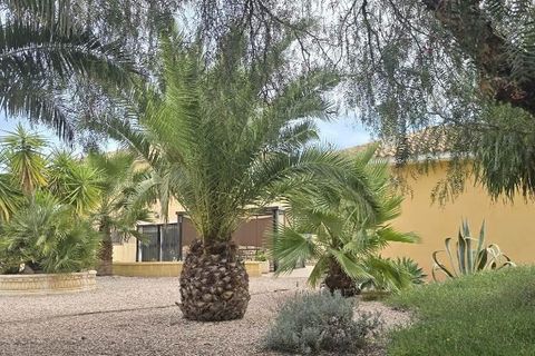 Landejendom i Totana, Murcia, Totana - € 375.000 | Ref: 0164/7779 - foto 40