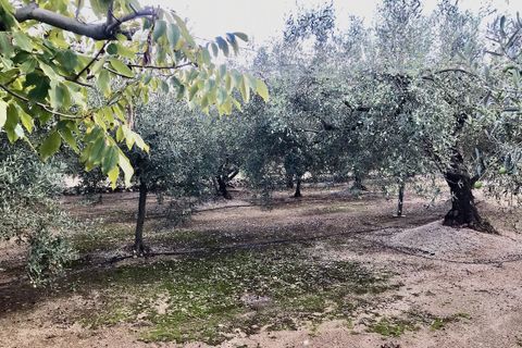 Finca i Tortosa, Tarragona, Tortosa - € 107.000 | Ref: Rma - foto 10