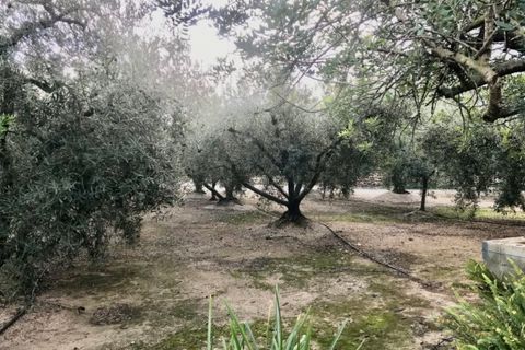 Finca i Tortosa, Tarragona, Tortosa - € 107.000 | Ref: Rma - foto 9